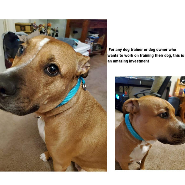 Nylon Reflective Filament P Chain Adjustable Size Collar(Green) by bashfashion