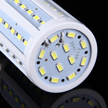 LED1116WL_4.jpg@f4dc8afaa2e32cd69f428121cae74e8f